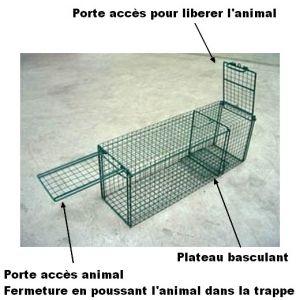 Trappe de capture avec porte basculante + porte accès