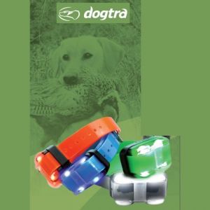 Collier supplémentaire pour chien - Dogtra 4500 EDGE