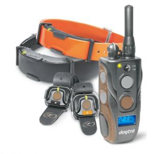 Collier Arc 800 & 802 Free Plus Dogtra