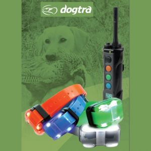Dogtra 4500 EDGE - Collier de dressage &agrave; distance pour chien, port&eacute;e 1600 m