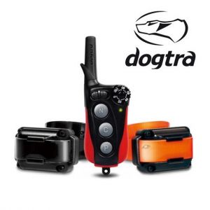 Collier de dressage pour chiens : Dogtra IQ Plus & IQ Plus Duo - portée 400 m