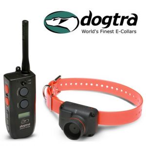 Beeper + Télécommande 800 m pour chien Dogtra - RB1000