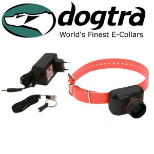 Collier pour chien Beeper StB Dogtra