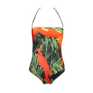 ACQUADICOCCO maillot de bain 1 pièce bustier sans armatures Parrots Multicolore - Taille S