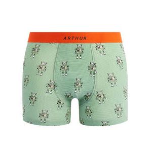 ARTHUR boxer homme en coton Lyon Vert - Taille M
