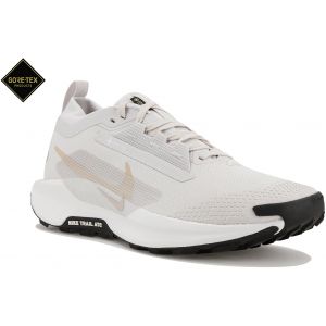 Nike Pegasus Trail 5 Gore-Tex Chaussures homme Gris/argent - Taille 40