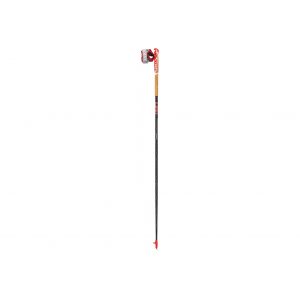Leki Vertical K B&acirc;tons de marche d&eacute;stockage Gris/argent - Taille 140cm
