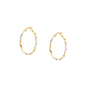 Boucles d'oreilles en or 375/1000