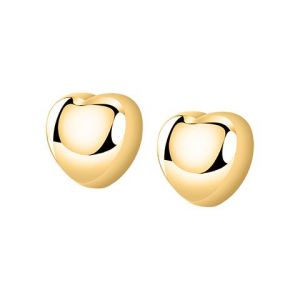 Boucles d'oreilles en acier