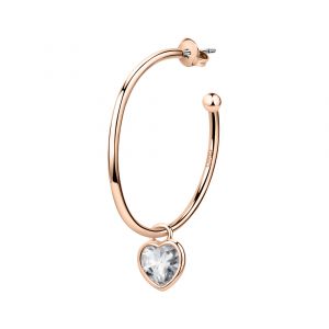 Boucles d'oreilles en Métal et zircon