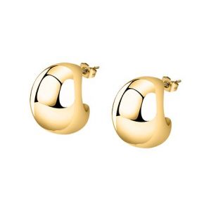 Boucles d'oreilles en acier