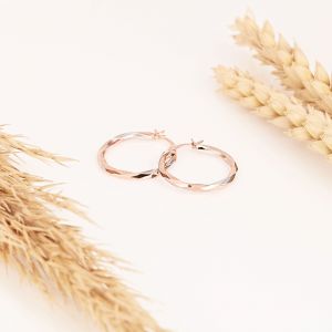 Boucles d'oreilles en or 375/1000