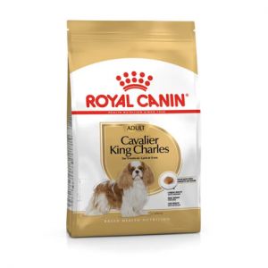 ROYAL CANIN-Croquettes Chien – Royal Canin Cavalier King Charles Adulte – 3 kg