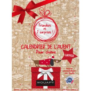 WOUAPY-Friandises Chien – Wouapy Calendrier De L'Avent Surprise Noël