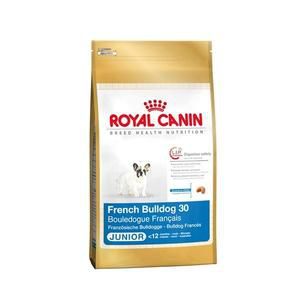 ROYAL CANIN-Royal Canin Croquettes Bouledogue Fran&ccedil;ais Junior - 10 kg
