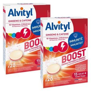 Alvityl Boost Lot de 2 x 20 comprim&eacute;s
