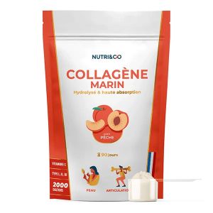 Nutri&Co Collag&egrave;ne Marin Type 1, 2 & 3 Peau & Articulations Go&ucirc;t P&ecirc;che 540g