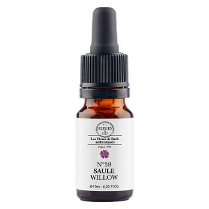 Elxirs & Co - Unitaire  Saule - 10ml
