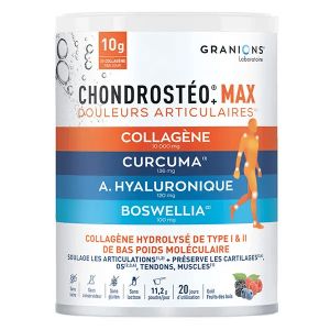 Granions Chondrost&eacute;o Max Collag&egrave;ne Poudre Go&ucirc;t Fruits des bois 225g