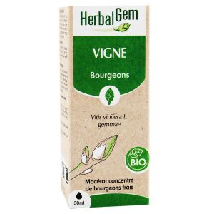 Herbalgem Mac&eacute;rat Concentr&eacute; Vigne Bio 30ml