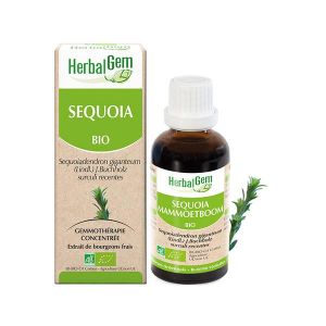 Herbalgem Mac&eacute;rat Concentr&eacute; S&eacute;quoia Bio 30ml