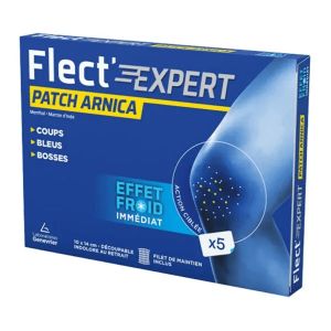 IBSA Flect'Expert Patch Froid x5