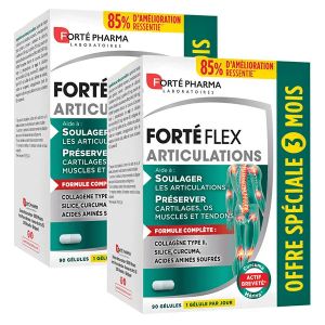 Fort&eacute; Pharma Flex Articulations Lot de 2x3 mois
