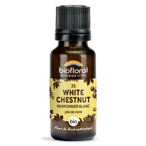 Biofloral 35 White Chestnut Marronier Blanc Granules Bio Fleur De Bach 19,5 Gr