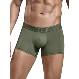 Clever  Boxers Boxer Britanica