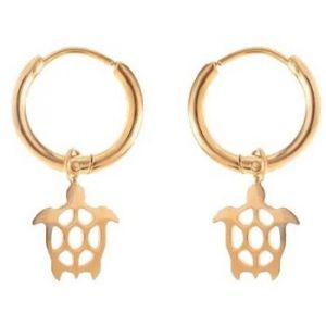 Mira  Boucles oreilles 80170