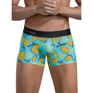 Clever  Boxers Boxer Lemons