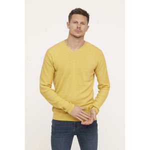 Lee Cooper  Sweat-shirt Pull CLORO Topaz
