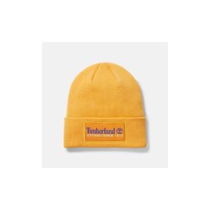 Chapeau Timberland TB0A2PTD ESTABLISHED 1973-804 ORANGE - Couleur Unique - Taille Orange