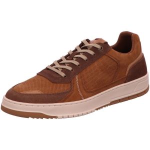 Bullboxer  Ville basse -