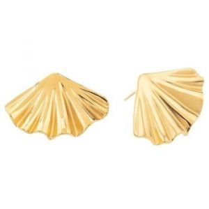 Mira  Boucles oreilles 805985