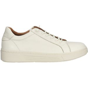 Hush puppies  Baskets basses Sneaker
