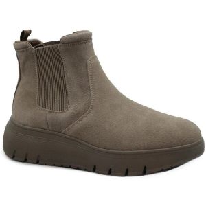 Grunland  Bottines GRU-RRR-PO1869-TA