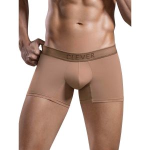 Clever  Boxers Boxer Britanica