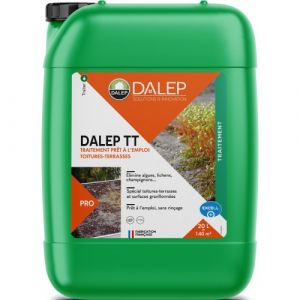 Antimousse fongicide – toitures - terrasses – 20 L – TT DALEP