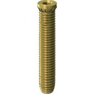 Vis d'ancrage direct série 60T-longueur 48 mm HAHN