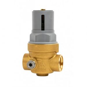 R&eacute;ducteur de pression compens&eacute; &agrave; membrane FF G 3/4&rdquo; Rinox Infinity RBM