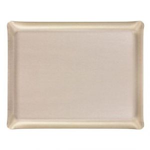 Plateau Acrylique 37 X 28 cm Secret argent
