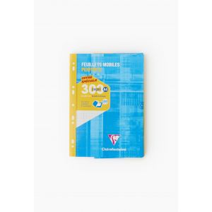 300 feuilles simples grands carreaux