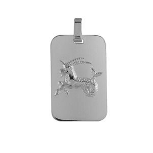 Pendentif en argent rhodié plaque G.I. rectangulaire arrondie zodiaque Capricorne