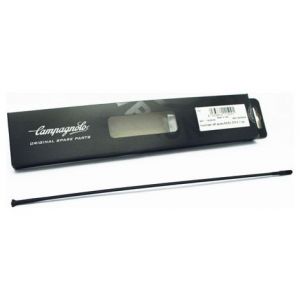 Rayon arriere droit campagnolo shamal mille