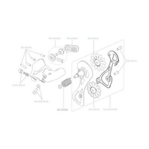 Chape interne campagnolo chorus   super record 12v  sans galets
