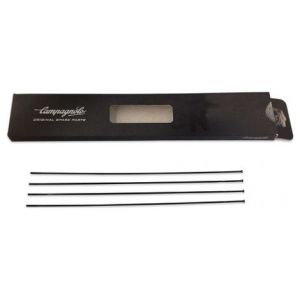 Lot de 4 rayons arriere droit campagnolo zonda