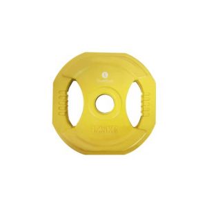 Disque pump a poignees 1 25 kg x1