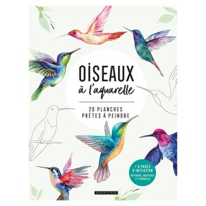 Livre Oiseaux &agrave; l'aquarelle - Dessain et Tolra