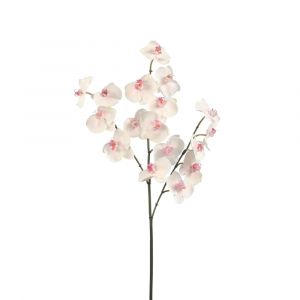 Tige d'orchidée phalaenopsis artificielle rose et blanche H66